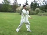 Play Compact Qigong Tai Chi Taiji For Healing In Yang Style